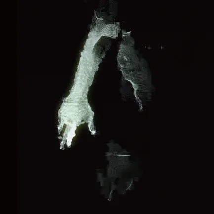 Chosun Savage — Music Video — image 8