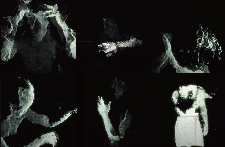 Chosun Savage — Music Video — image 10